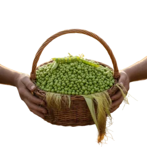 Arveja Desgranada (presentación por kilogramos)