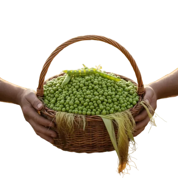 Arveja-Desgranada. Arveja Desgranada (presentación por kilogramos)