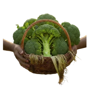 Brócoli Orgánico (presentación por kilogramos)