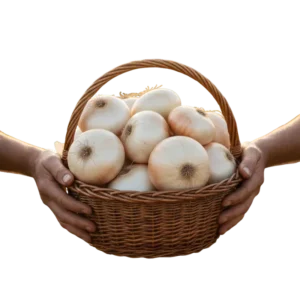 Cebolla Cabezona (presentación 10 kg)