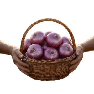 Cebolla Cabezona Morada (presentación 10 kg)