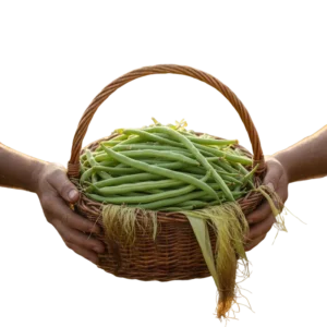 Habichuela (presentación 5 kg)