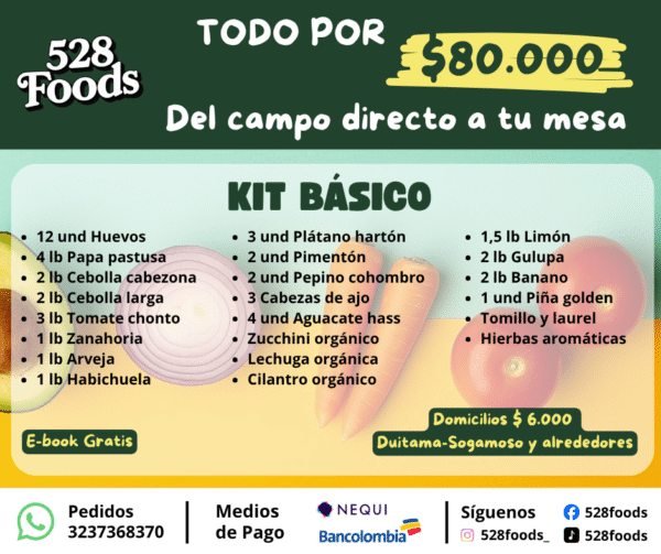 🥬 Kit Básico 528 Foods - Frescura del Campo a Tu Mesa