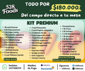 🥬 Kit Premium 528 Foods