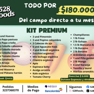 🥬 Kit Premium 528 Foods