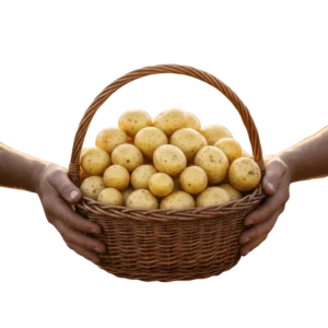 Papa Criolla (presentación 10 kg)