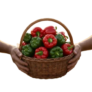 Pimentón (presentación 5 kg)