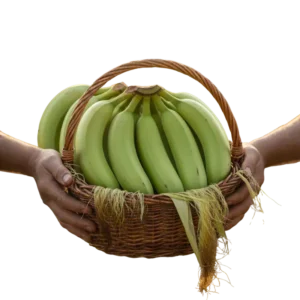 Plátano Hartón (presentación 10 kg)