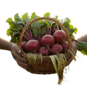 Remolacha (presentación por kilogramos)