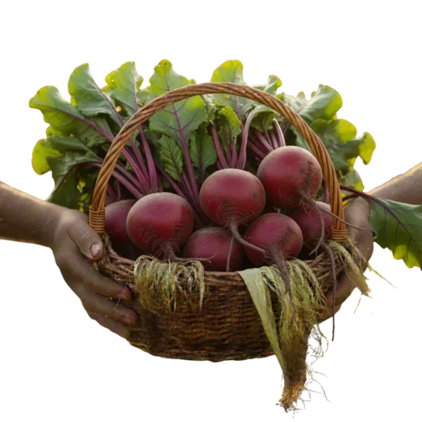 Remolacha (presentación por kilogramos)