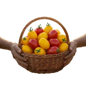 Tomate de Árbol (presentación 5 kg)