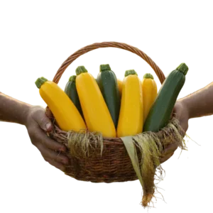 Zukini Amarillo / Verde Orgánico (presentación por kilogramos)